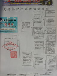 拍賣商品全攻略 探索各類商品拍賣的世界